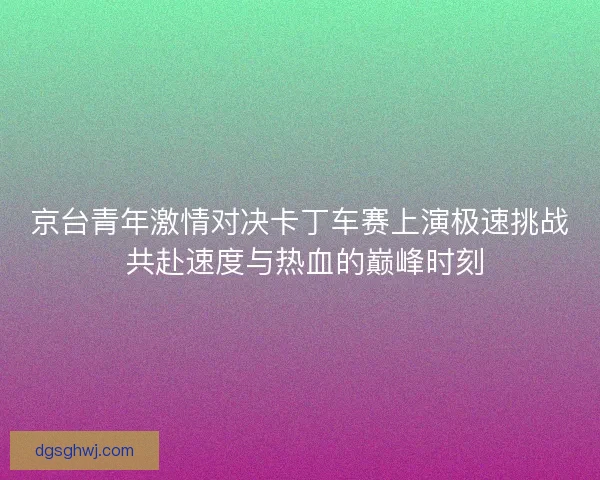 京台青年激情对决卡丁车赛上演极速挑战 共赴速度与热血的巅峰时刻