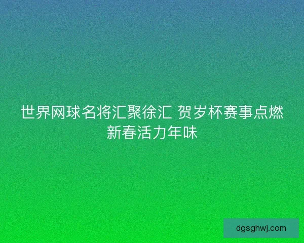世界网球名将汇聚徐汇 贺岁杯赛事点燃新春活力年味