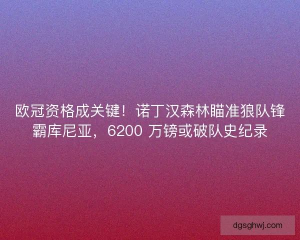 欧冠资格成关键！诺丁汉森林瞄准狼队锋霸库尼亚，6200 万镑或破队史纪录