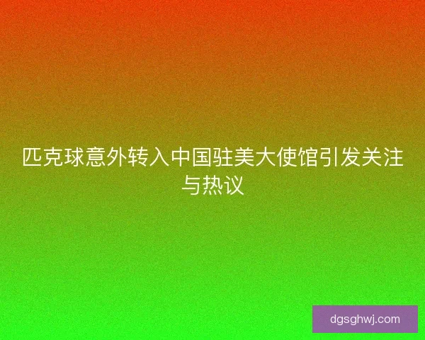 匹克球意外转入中国驻美大使馆引发关注与热议