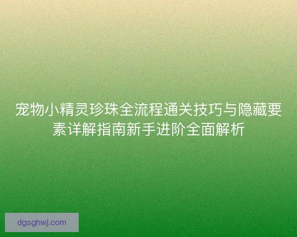 宠物小精灵珍珠全流程通关技巧与隐藏要素详解指南新手进阶全面解析 宠物小精灵珍珠全流程通关技巧与隐藏要素详解指南新手进阶全面解析